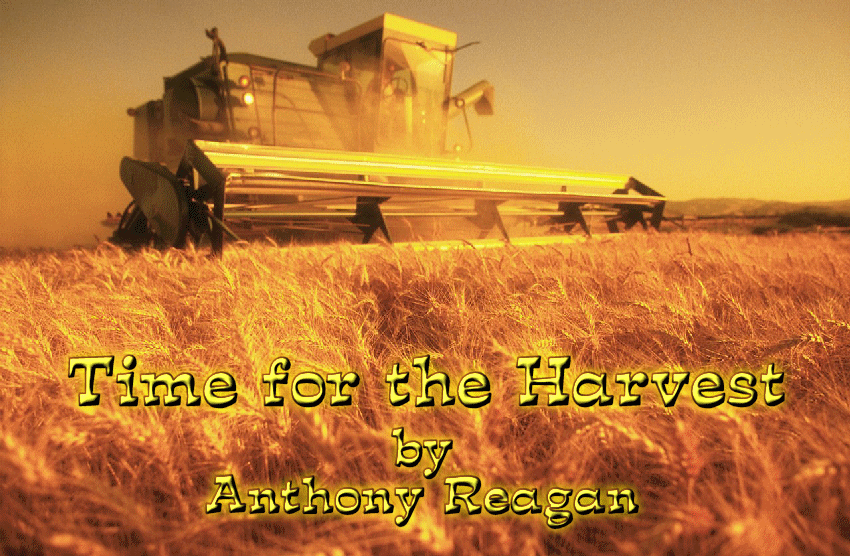 Time for the Harvest by Anthony Reagan