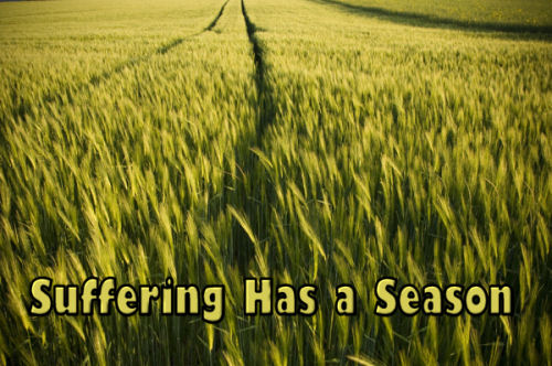 Suffering Has a Season