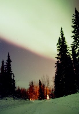 Northern Lights