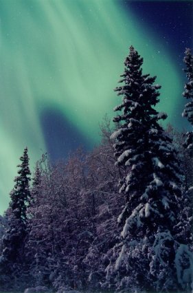 Northern Lights