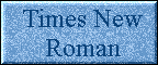 Times New Roman