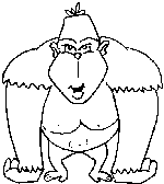 Gorilla with long arms