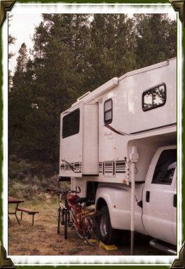 Camper and bikes in pine trees