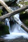 Logs fallen across a river in the form of a cross