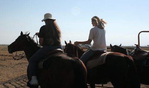 Riding horses