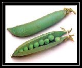 Peas in a pod