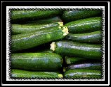 Zucchini Squash