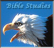 Picture of eagle's head with text, "Bible studies"