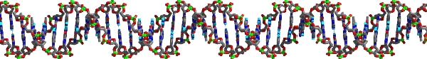 Strand of DNA