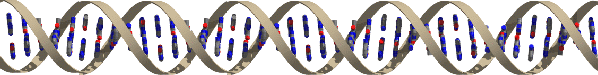 Strand of DNA