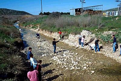 Photograph of the brook Elah with lots of rocks in it