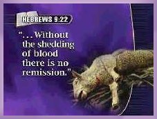 Hebrews 9:22