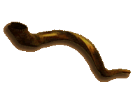 Shofar twisting to the right